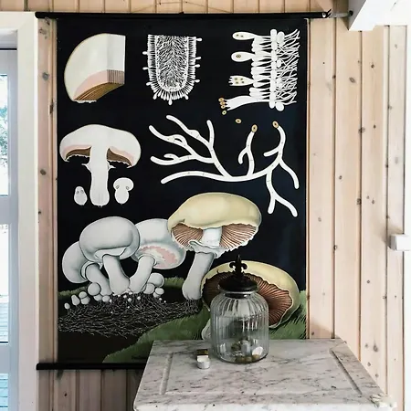 Moments In Relaxed Family House Near Kulhuse *